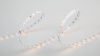 Лента светодиодная SWG DSG 3528 WW 60L-V24-IP33, 2700K, 300 LED, 4,8 W/m, LUX, катушка 5 м