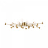 Потолочный светильник Freya Celebrity FR5242CL-24BS, латунь