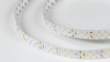 фото Светодиодная лента SWG PRO 2835, 252 LED/м, 24 Вт/м, 24В, IP20, Цвет: Теплый белый, SWG2P252-24-24-WW-20, катушка 5 м