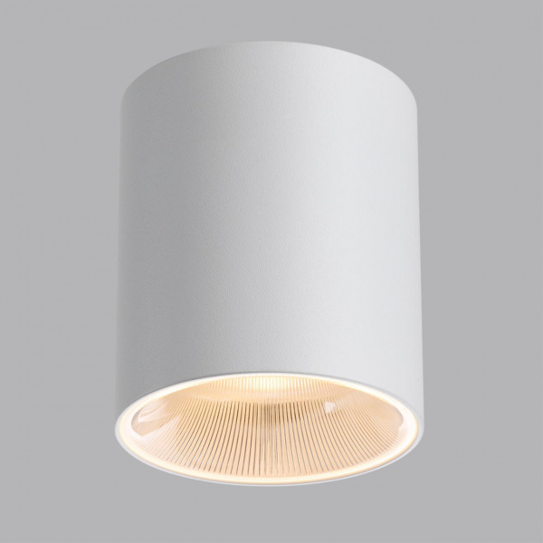 фото Светильник белый/металл IP20 LED 12W 840Лм 3000K/4000K/6000K 36° 220-240V BRIM HIGHTECH, арт. 7139/12CL