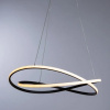 фото Подвесная люстра Arte Lamp SWING A2522SP-2BK