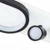 фото Потолочный светильник Arte Lamp LUCAS A2600PL-32BK