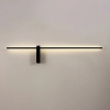 фото Декоративная подсветка Arte Lamp PHOENIX A2025AP-1BK