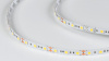 фото Лента светодиодная SWG DSG 5050 W 60L-V12-IP33, 6000 K, 300 LED, 14.4W/m, LUX, катушка 5 м
