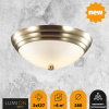 фото Античная латунь Настенно-потолочный светильник E27 2*60W 220V KAYLA VINTAGE, арт. 5262/2C