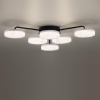 фото Черный, металл/акрил Люстра потолочная с ПДУ LED 85W 3000-6000К 220V DIDANA LEDIO, арт. 8236/6CL
