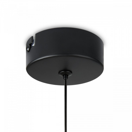 фото Подвесной светильник Freya Idol FR6134PL-L4SM, черный