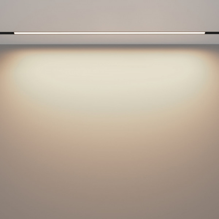фото Трековый светильник Maytoni Technical Basis TR030-2-30W3K-B, черный