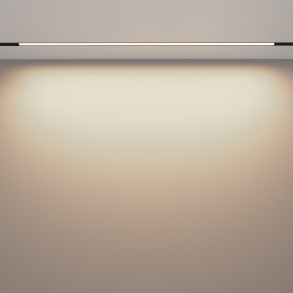 фото Трековый светильник Maytoni Technical Basis TR030-2-30W3K-B, черный