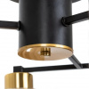 фото Потолочная люстра Arte Lamp LEO A7027PL-6BK