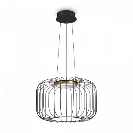фото Подвесной светильник Freya Citrus FR5398PL-L8B, черный