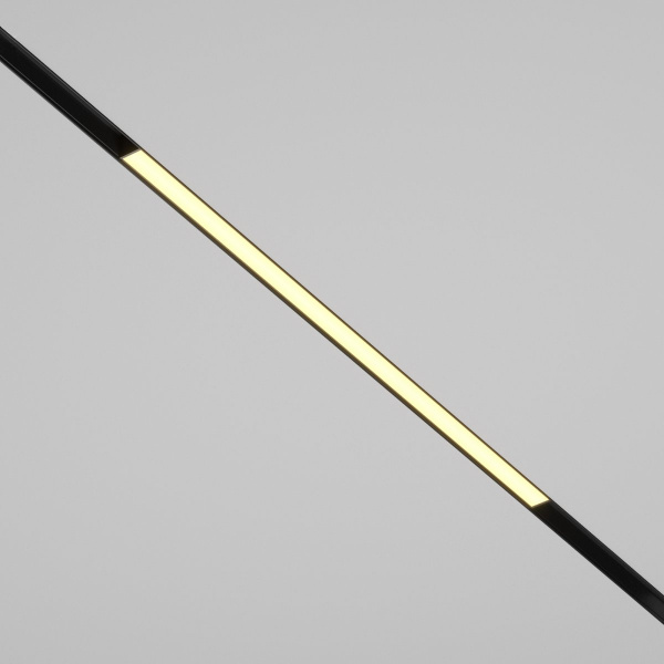 фото Трековый светильник Maytoni Technical Basis TR030-2-24W2.7K-B, черный