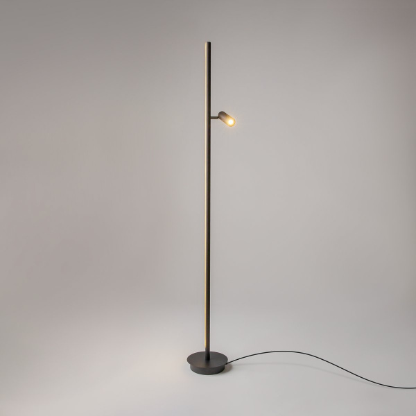 фото Торшер Maytoni Thin MOD395FL-L28B3K, черный