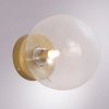 фото Настенный светильник Arte Lamp VINCENT A7790AP-1GO