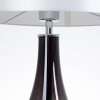 фото Декоративная настольная лампа Arte Lamp NAOS A5043LT-1BK