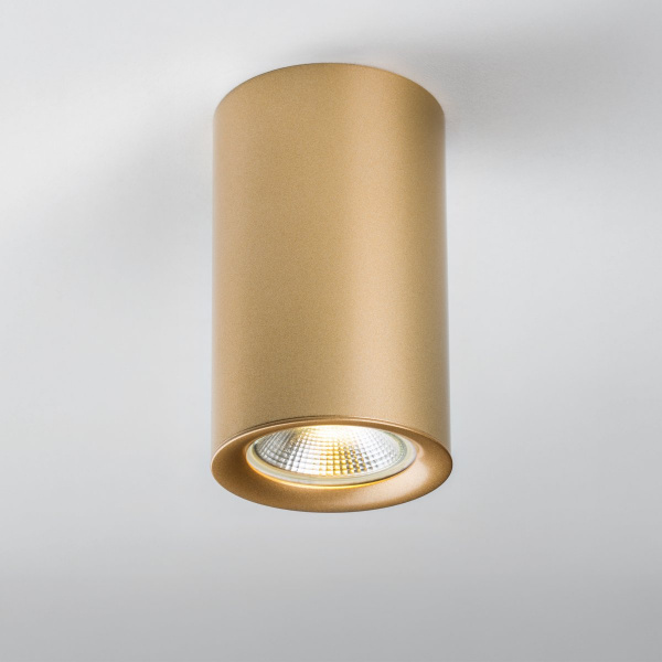 фото Насадка торцевая на светильник RULLO dia 60 mm Rullo, золото Lightstar 204440