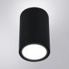 фото Уличный потолочный светильник Arte Lamp TORCULAR A1307PF-1BK