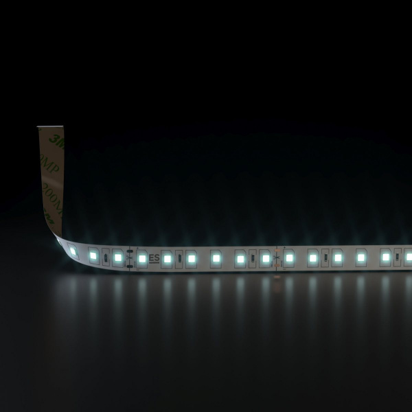 Светодиодная лента 24 В 9,6 Вт/м 120 Led/м 2835 IP20, холодный белый 6500K, 5 м