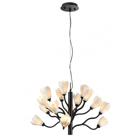 фото Черный матовый/белый/фарфор Люстра G4 LED 15*5W GARDI MODERN, арт. 5090/15