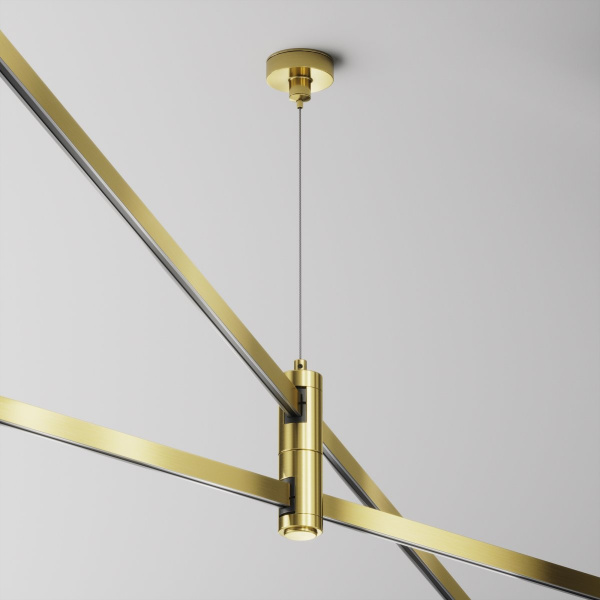фото Подвес тросовый Hang двойной Flarity латунь Maytoni Technical TRA157SW-D1-BS