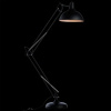 фото Торшер Arte Lamp GOLIATH A2487PN-1BK