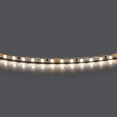 фото Лента LED 24V 5W 5m/roll 4000K с клейкой лентой Lightstar 420544-01
