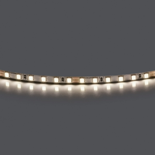 фото Лента LED 24V 5W 5m/roll 4000K с клейкой лентой Lightstar 420544-01