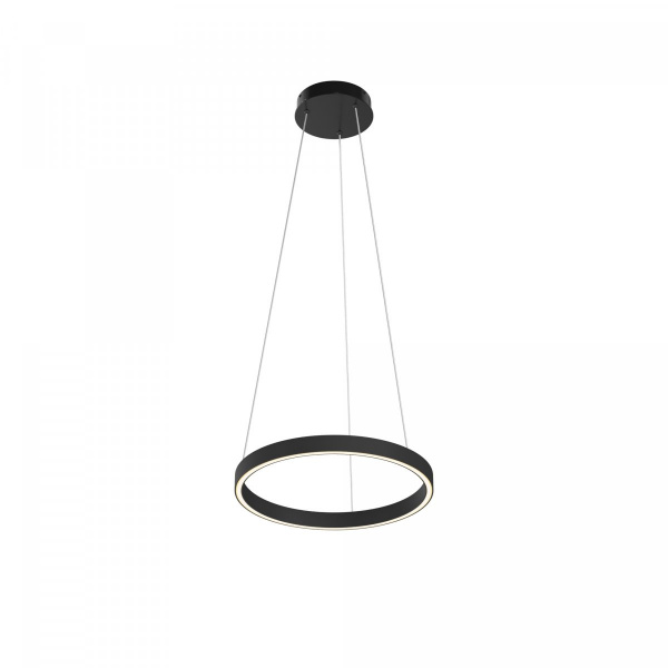 Подвесной светильник Maytoni Rim MOD058PL-L22BK, черный