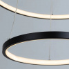 фото Подвесная люстра Arte Lamp FRODO A2197SP-2BK
