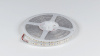 фото Лента светодиодная SWG DSG 3528 120L-V12-IP65,6000K, 120 LED, 9.6 W/m, LUХ, катушка 5 м