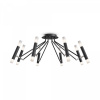 фото Потолочный светильник Maytoni Vigo MOD620CL-16B, черный