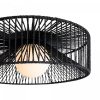 фото Потолочный светильник Freya Cottage FR5405CL-01B, черный