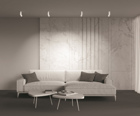 фото Потолочный светильник Maytoni Technical Dafne C027CL-L10W, белый