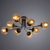 фото Потолочная люстра Arte Lamp OXFORD A2716PL-8BK