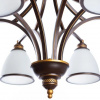 фото Подвесная люстра Arte Lamp BONITO A9518LM-8BA