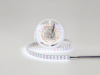фото Лента светодиодная SWG 2x DSG 5050 RGB+W 120L-V24-IP33, RGB+White, 600 LED, 28,8 W/m, LUX, катушка 5 м