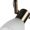 фото Спот Arte Lamp PARRY A5062PL-3AB