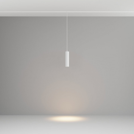 фото Трековый подвесной светильник Maytoni Technical Focus LED TR041-2-12W3K-W, белый