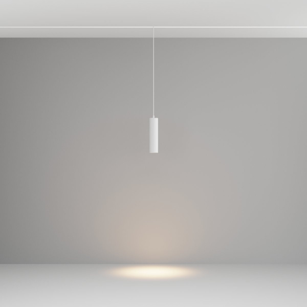 фото Трековый подвесной светильник Maytoni Technical Focus LED TR041-2-12W3K-W, белый