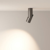 фото Потолочный светильник Maytoni Technical Dafne C027CL-L10B4K, черный