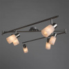 фото Спот Arte Lamp CAVALLETTA A4510PL-6SS