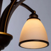 фото Подвесная люстра Arte Lamp BONITO A9518LM-8BA