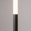 фото Торшер Maytoni Ray Z012FL-L18B3K, черный