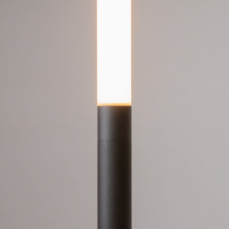 фото Торшер Maytoni Ray Z012FL-L18B3K, черный