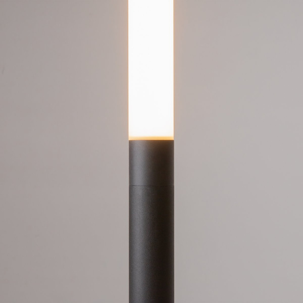 фото Торшер Maytoni Ray Z012FL-L18B3K, черный