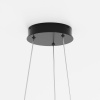фото Подвесной светильник Maytoni Rim MOD058PL-L22BK, черный