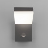фото Уличный настенный светодиодный светильник Sensor IP54 с датчиком движения 1541 TECHNO LED серый