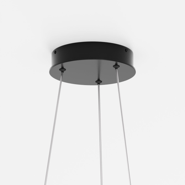 фото Подвесной светильник Maytoni Rim MOD058PL-L22BK, черный