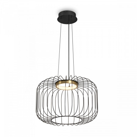 фото Подвесной светильник Freya Citrus FR5398PL-L8B, черный