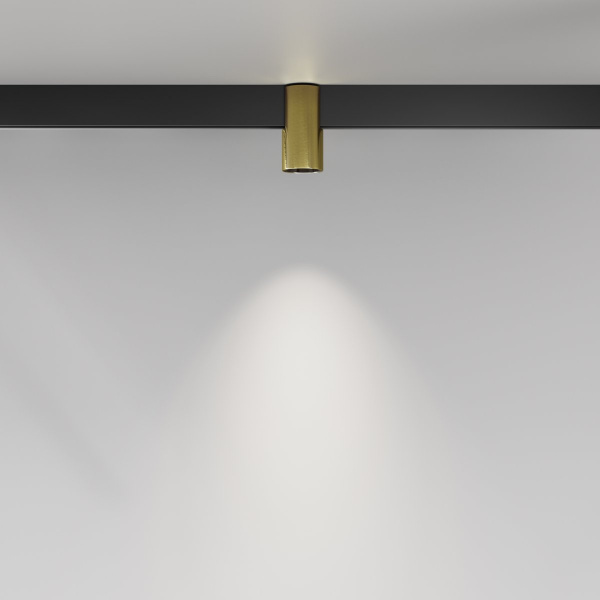 фото Трековый светильник Maytoni Technical Alfa TR122-4-7W-DS-BS, черный